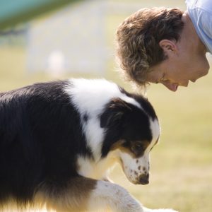 PawTrek Pet Fitness Tracker