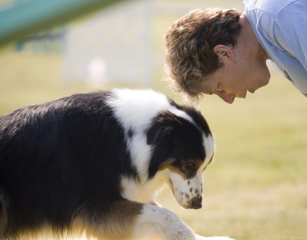 PawTrek Pet Fitness Tracker